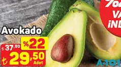 AVOKADO ADET AVOKADO ADET